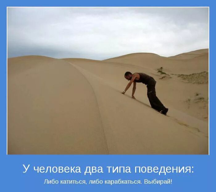 Станет доступно или доступным