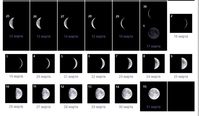 Какая луна в марте 2024г для стрижки