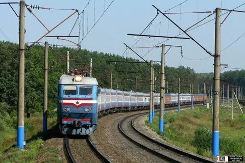 Электричка березовая роща тресвятская