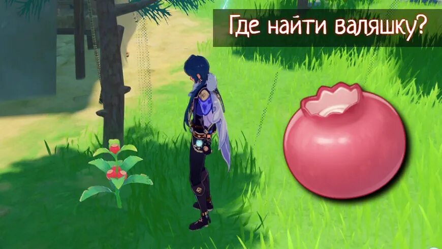 Валяшки геншин. Валяшка геншин импакт. Местоположение валяшки. Валяшки маршрут. Диковина мондштадта геншин.