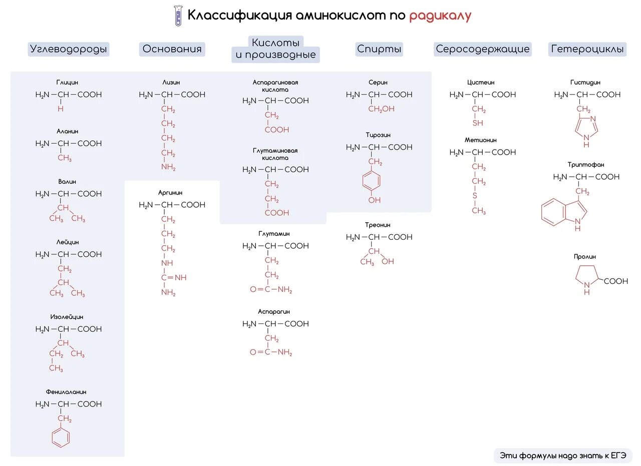 10 формул аминокислот. Формулы 20 аминокислот таблица. 20 Аминокислот формулы. 20 Аминокислот таблица аминокислоты. 20 Альфа аминокислот.