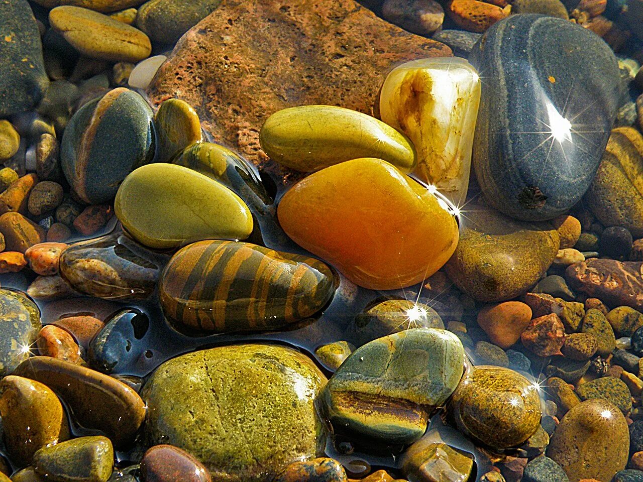 Какой камень плавает. "Золотые камушки" Байкала. Речная галька горного Алтая. Красивые морские камни. Разноцветные морские гальки.
