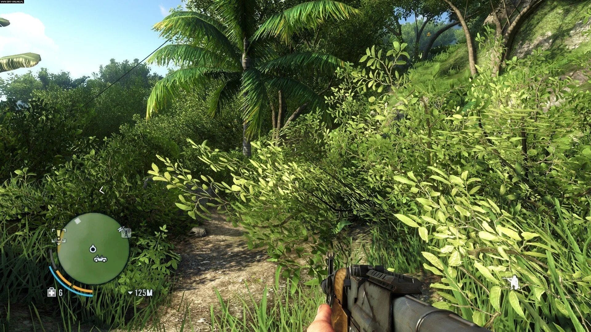 Far Cry 3 SWEETFX. Фар край 3 Скриншоты. Фар край 3 обложка. Семена любви FARCRY 6. Семена любви far