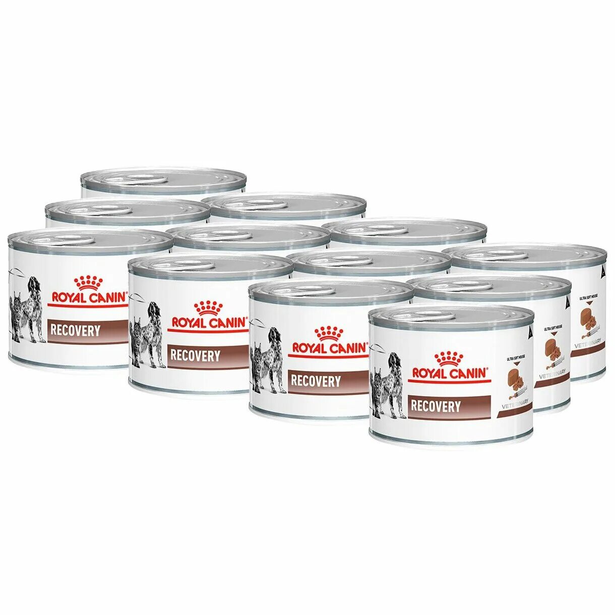 Canin recovery для кошек. Роял канин рекавери для кошек паштет. рекавери корм для кошек. консервы рекавери роял канин. роял канин recovery для кошек.