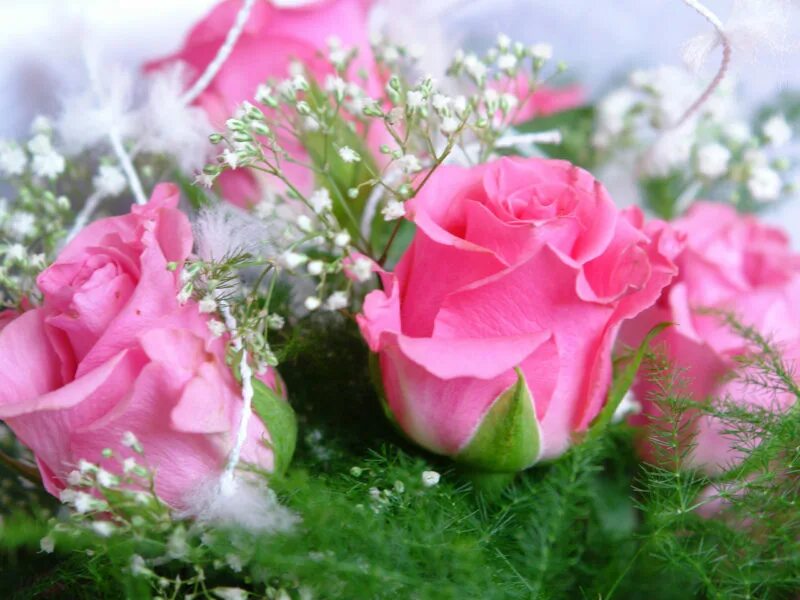 День рождения поздравить женщину. С днем рождения. Открытки с днём рождения женщине. С днем рождения цветы. Фото с цветами на день рождения.