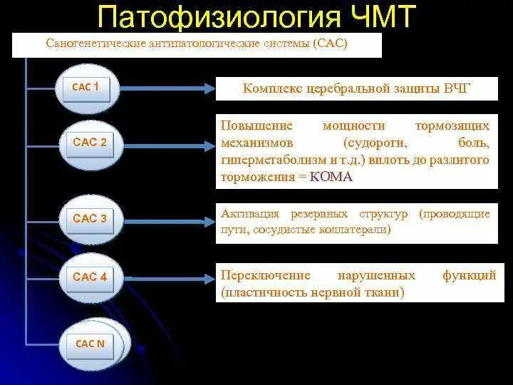 Сас в медицине. САС патофизиология. САС патофизиология расшифровка. Патофизиология ЧМТ. Активация САС патфиз.