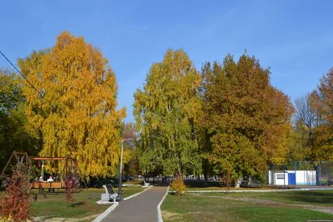 Щелковский парк
