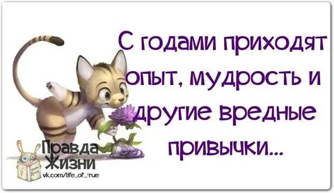 Мудрости жизни опыт
