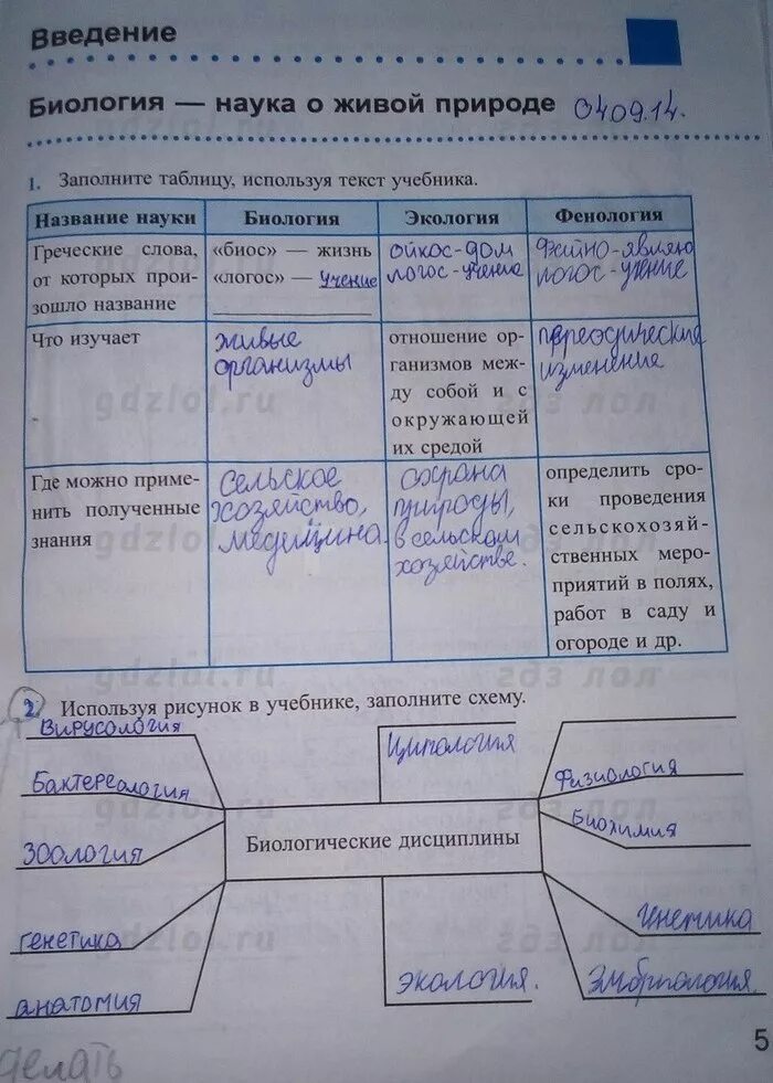 Биология 5 класс рабочая тетрадь 22 параграф. Заполните таблицу биология. Биология 6 класс параграф 17 таблица. Заполнить таблицу по биологии. Таблица по биологии 6 класс параграф 5.