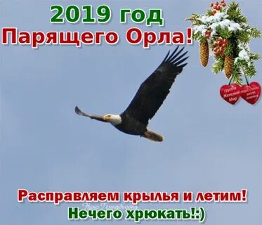 Парю год