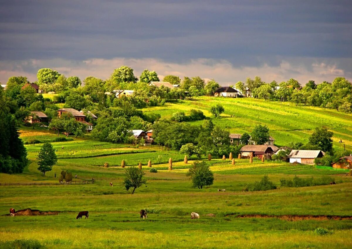 Украинский край. Красивые Деревенские пейзажи. Украинское село. Деревня в Украине. Украинская деревня.