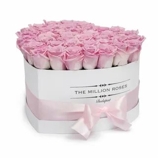 Million roses