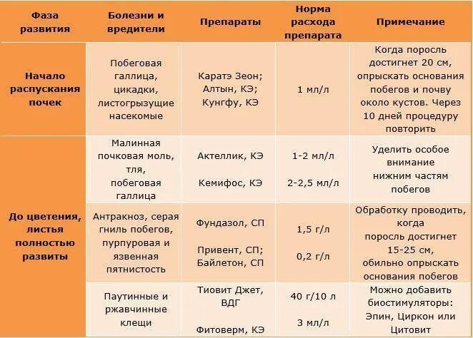 Обработка и подкормка малины весной