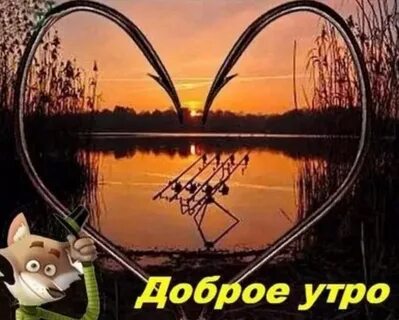 Дорогой лови