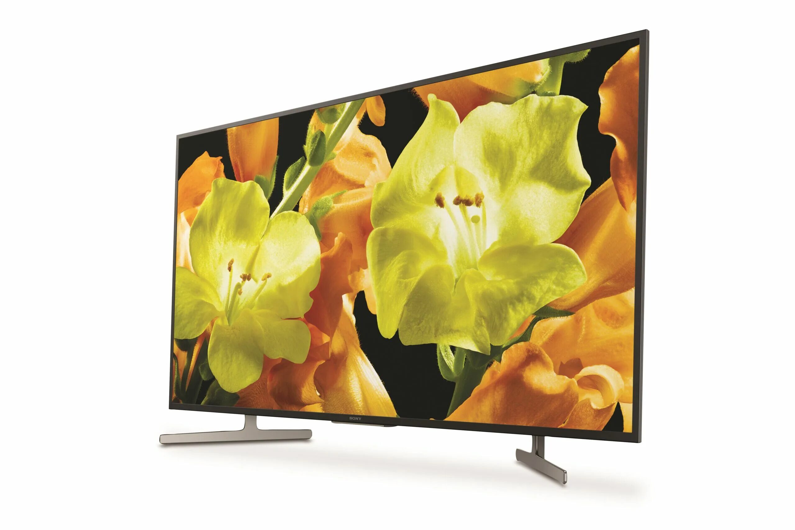 Лучшие телевизоры диагональю 65. Sony KD-49xg8096. Sony KD-65x81j. Sony KD-55xg8096 2019 led, HDR. Телевизор Sony KD-43xg8096.