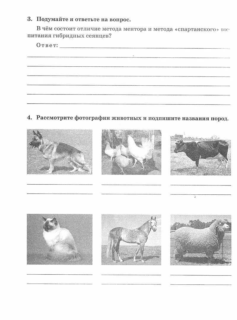 Биология 9 класс данилова. Рабочая тетрадь по биологии 9 класс Новикова Данилов. Гдз по биологии 9 класс рабочая тетрадь Новикова. Гдз по биологии 9 кл рабочая тетрадь Новикова. Рабочая тетрадь по биологии 9 класс Данилов гдз.