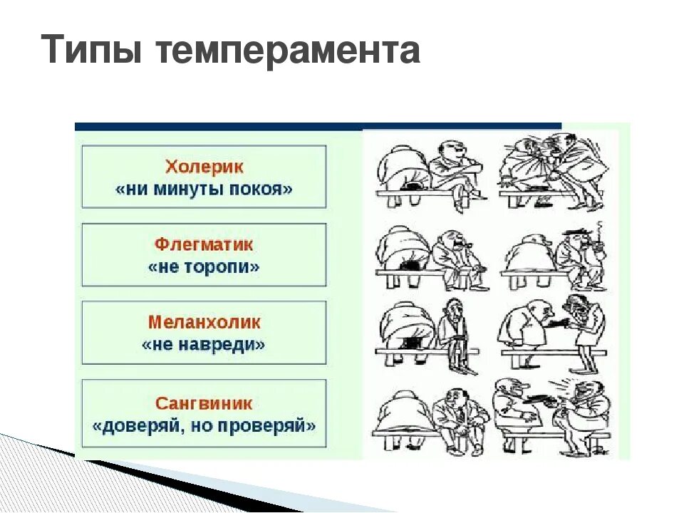 Типы темперамента холерик сангвиник. Тип темперамента холерик меланхолик. Типы личности холерик сангвиник флегматик. Темперамент флегматик. Перечисли темпераменты человека