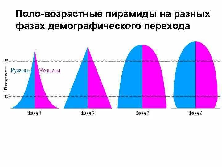 Формы государства: определение, элементы, виды