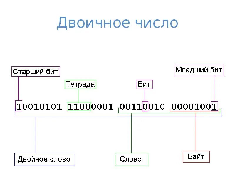 Старший и младший бит. Младший бит двоичного числа. старшие и младшие биты числа. бит байт слово двойное слово.