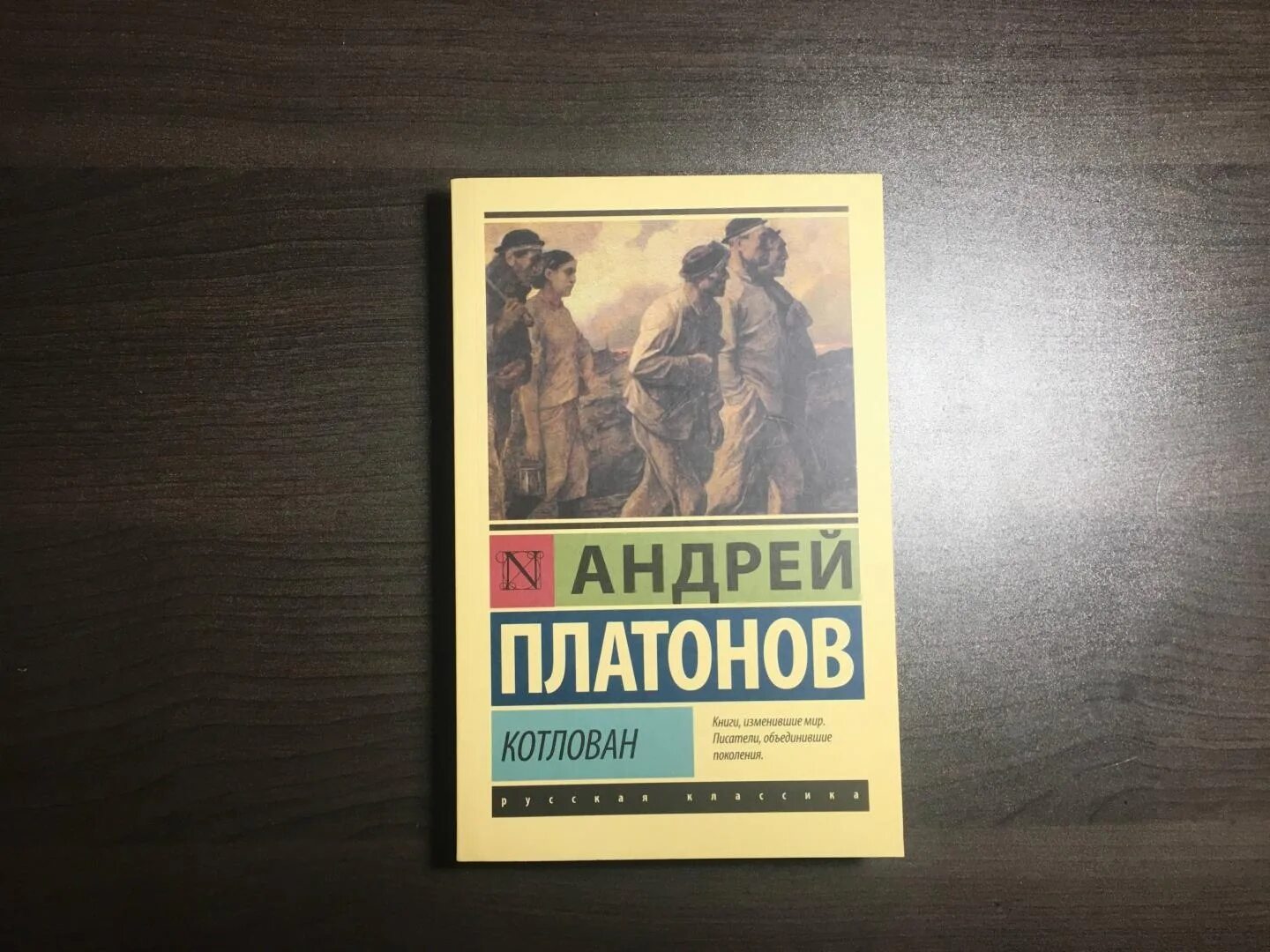 Книга котлован платонов отзывы. Ювенильное море Платонов иллюстрации.