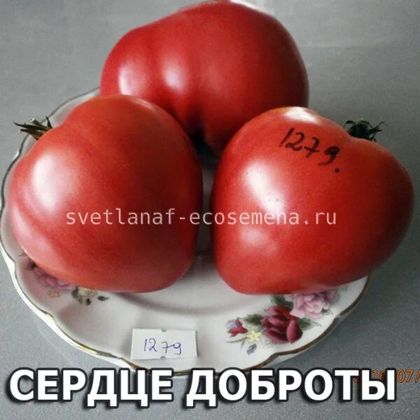 Томаты разбитое сердце описание сорта. Сорт томата дробленое сердце. сердце хибы томат. томат сердце доброты. помидор разбитое сердце.