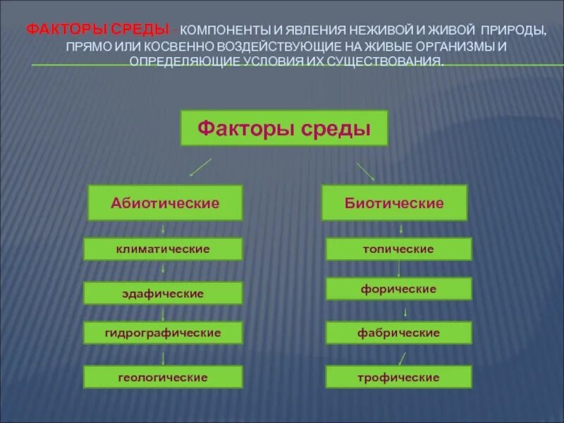 Которые прямо или косвенно предусмотрены. Живые и неживые элементы природной среды. Влияние факторов неживой природы. Влияние факторов неживой природы на живые организмы. Влияние факторов неживой природы на организмы.