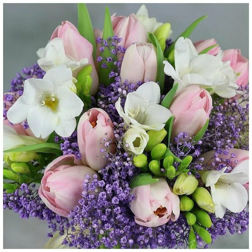 букет невесты тюльпаны и гипсофилы. тюльпаны с гипсофилами. тюльпаны с гипсофилами. букет "25 тюльпанов". тюльпаны и гипсофила в букете.