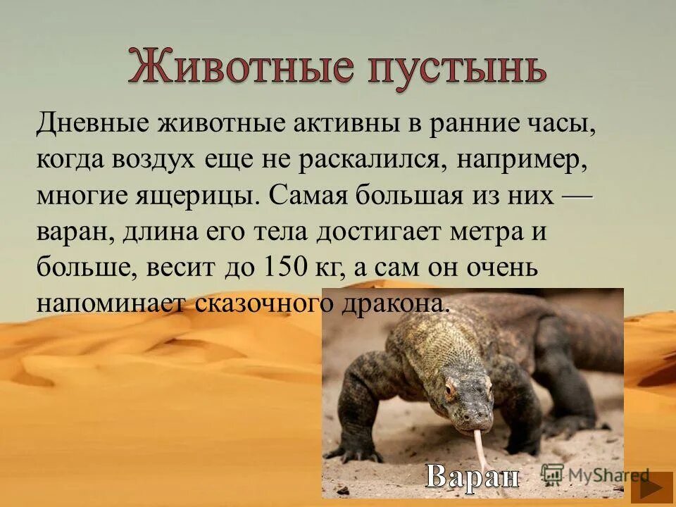 Ответы окружающий мир 4 класс животные пустыни. Пустыня природная зона россии животные. Тест пустыня 4 класс окружающий мир с ответами. Ушастая круглоголовка презентация. Ушастая круглоголовка доклад 4 класс.