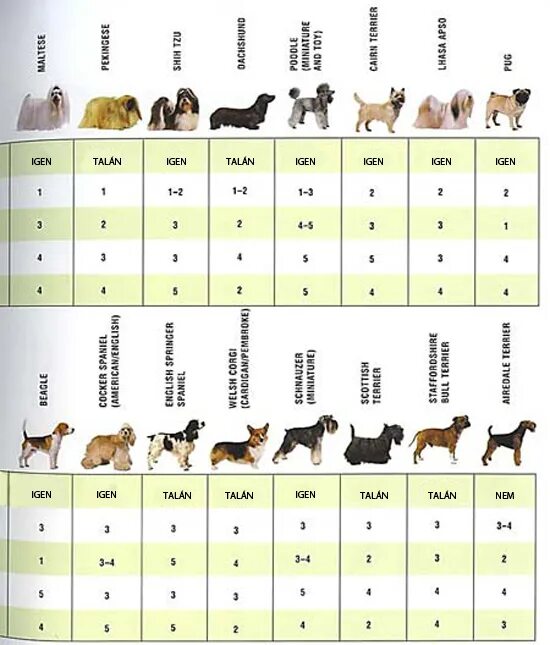 Популярность пород собак. Породы собак в таблице. Таблица самых популярных собак. Статистика популярных пород собак.