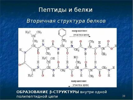 Свойства пептидов и белков