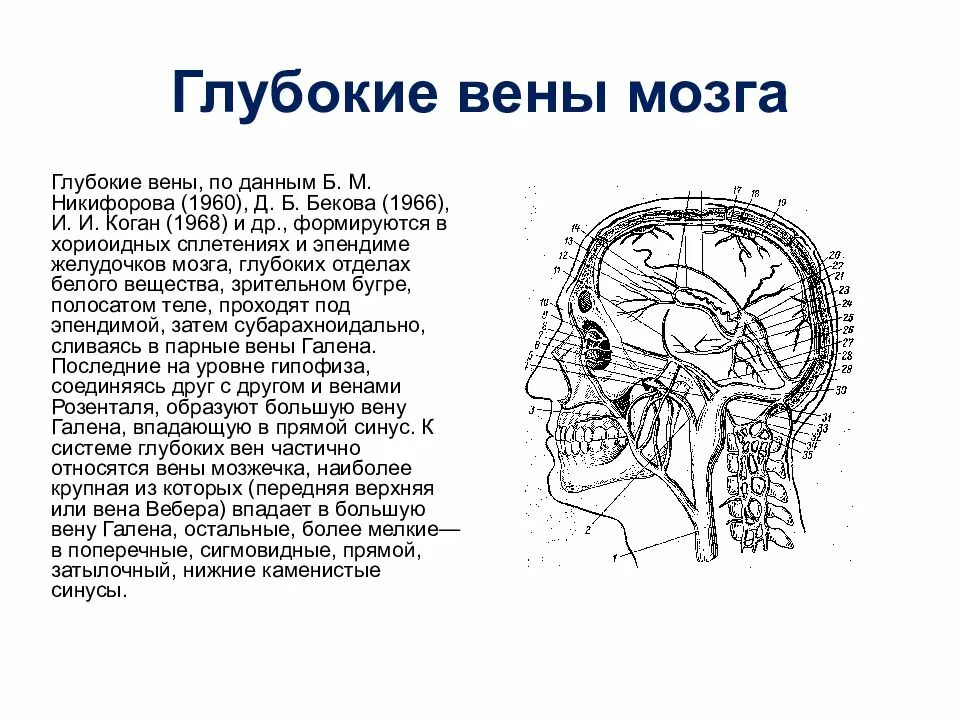 Верхние вены мозга. Глубокие мозговые вены. Большая мозговая Вена впадает. Поверхностные вены мозга.