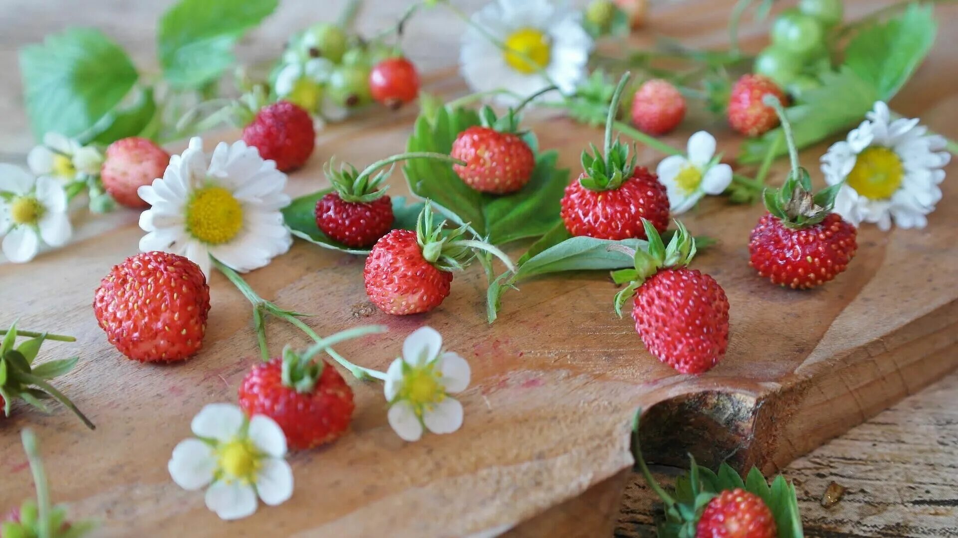 Малы ягоды земляники за то вкусны. Клубника. Цветок клубники. Летние цветы и ягоды. Летние картинки на рабочий стол.
