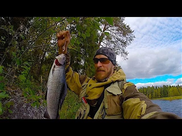рыбалка на спиннинг с лодки. собака ромарио агро. рыбалка с romario agro. ромарио агро рыбалка видео. яузское вдхр троллинг.