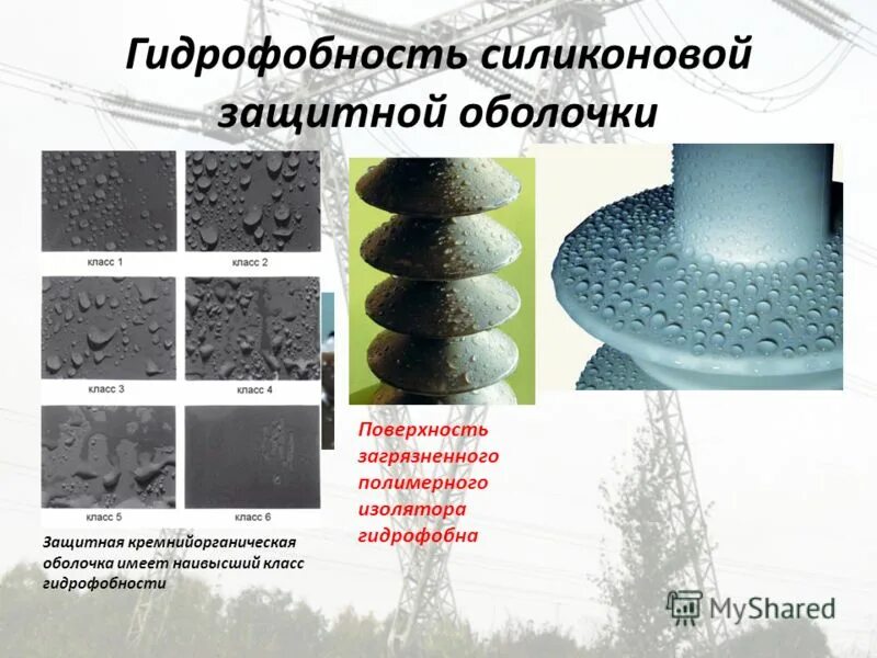 оболочки глаза. реактор bwr mark 2. иммунная функция жкт. защитная оболочка для кабеля. имеет защитные оболочки.