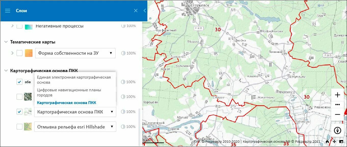 Карта росреестра владимирской области. Карта Росреестра. Публичная кадастровая палата карта. Территориальные зоны на публичной кадастровой карте. ПКК Росреестр.