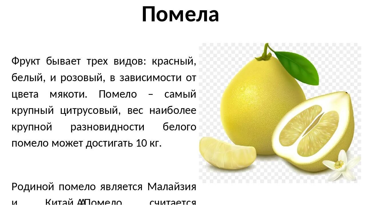 Помело фрукт свойства и противопоказания. Помело. Помело фрукт полезные. Помело витамины. Помело мякоть.