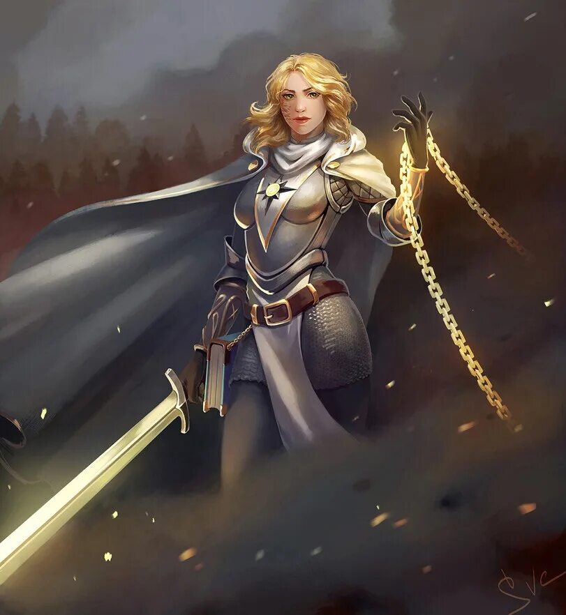 последний паладин 4 fb2