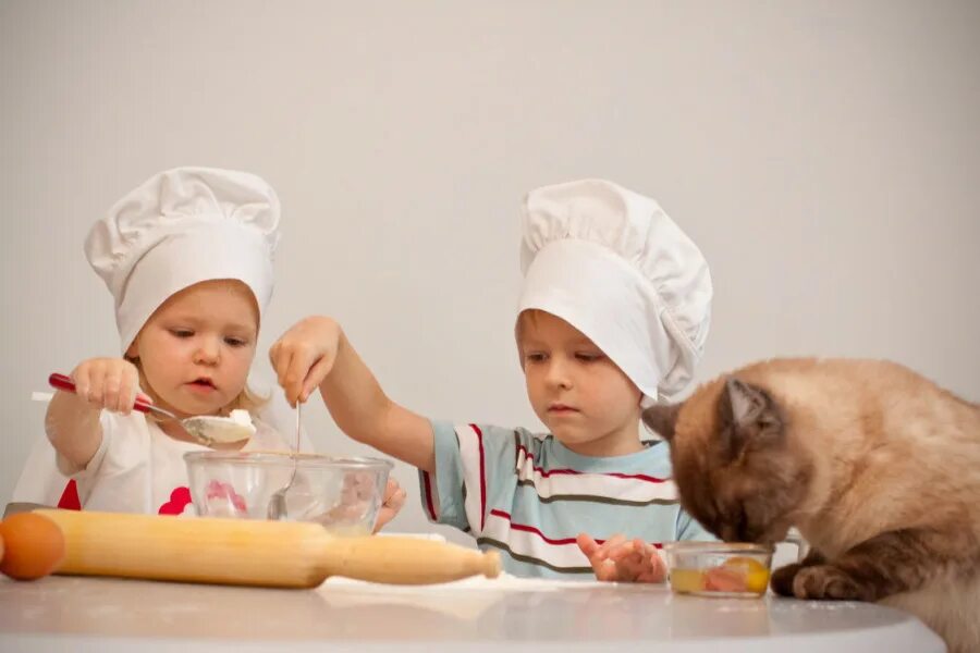 котенок повар. котик в поварском колпаке. котик поваренок. котенок поваренок. котята поварята.