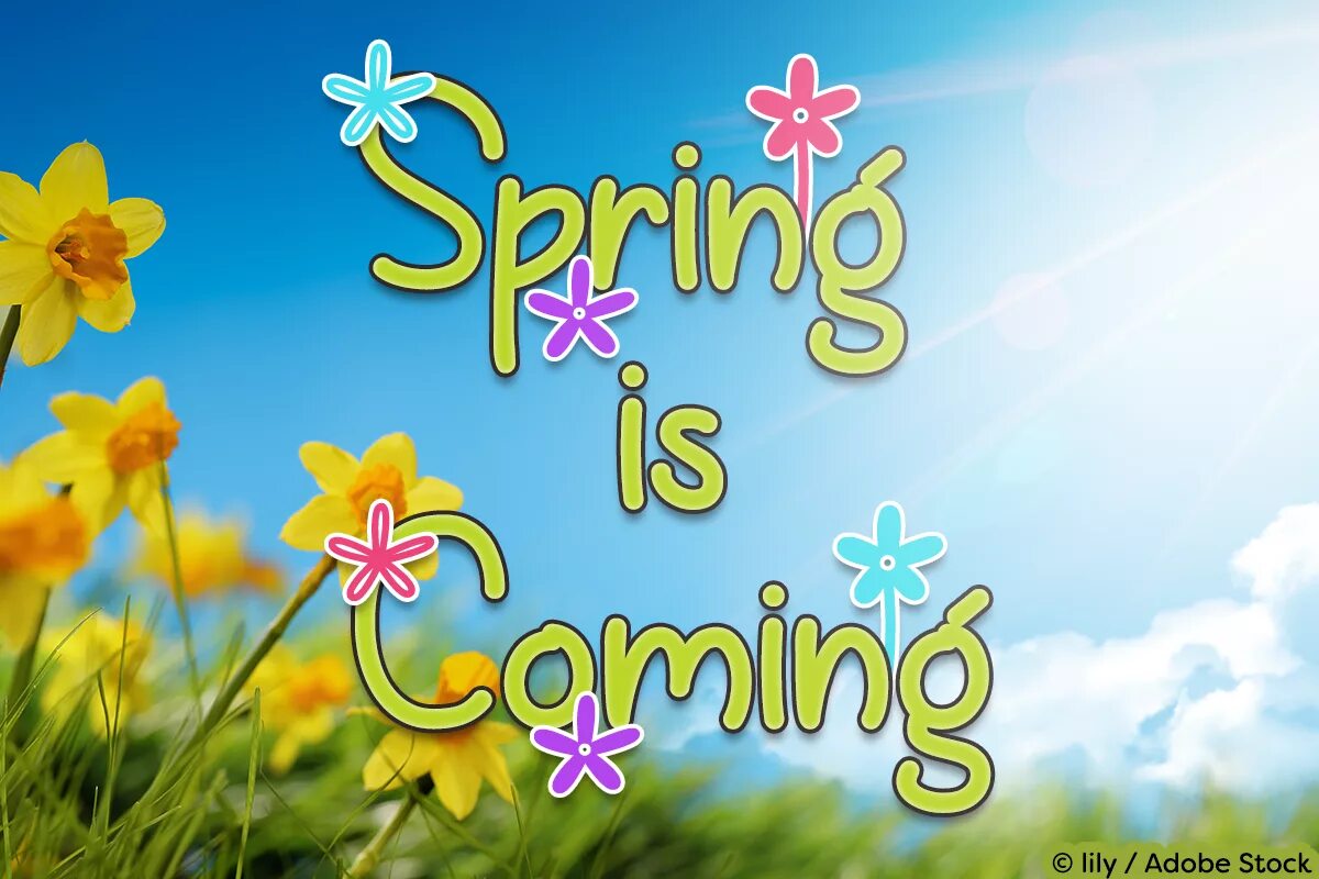 Spring is coming. Spring is coming картинки. Spring is coming soon. Как переводится spring