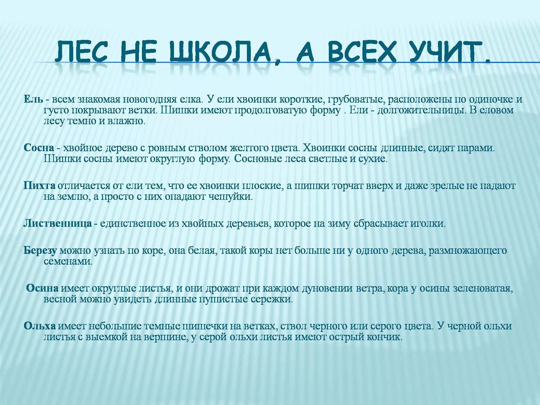 Лес не школа а всему учит читать