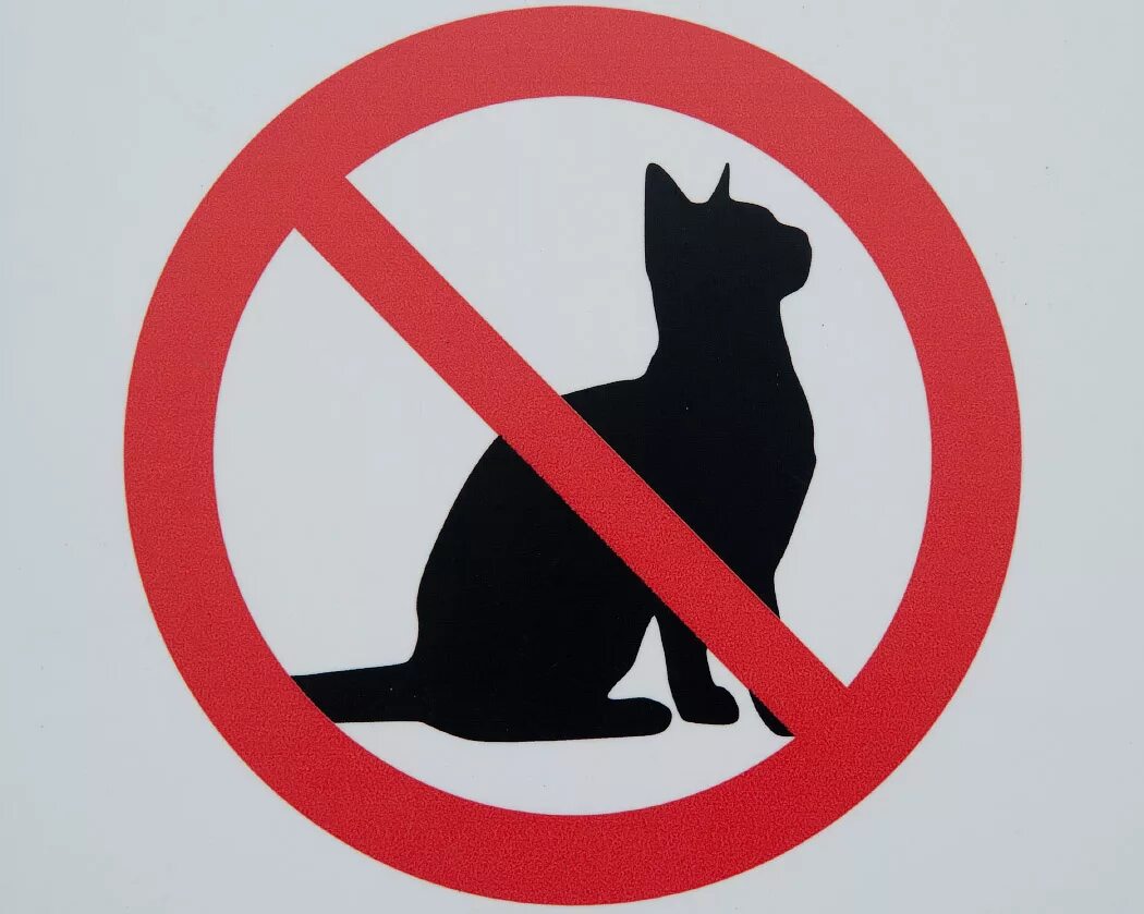 Нет 3 кошки. Кошки запрещены. Знак без кошек. Перечеркнутый кот. Знак запрет кошек.