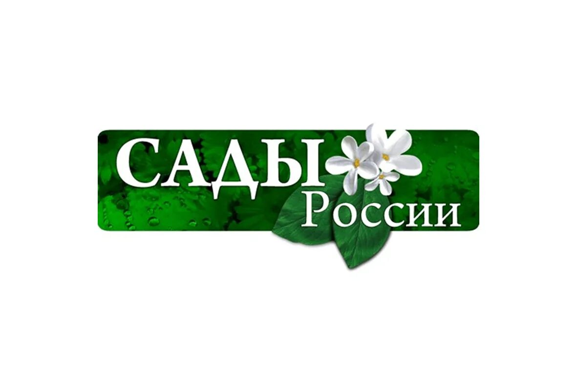 Сайт сады россии челябинск каталог