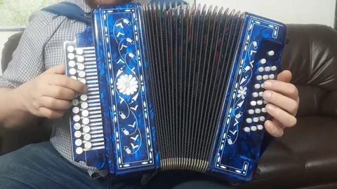 Гармонь белая