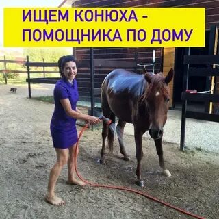 Московский область с проживанием по хозяйствам