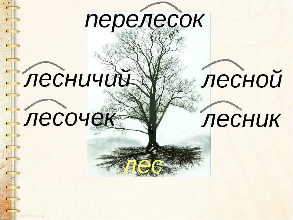 Корень в слове семью. Дерево с однокоренными словами. Дерево с однокоренными словами лес. Проект семья слов 3 класс.