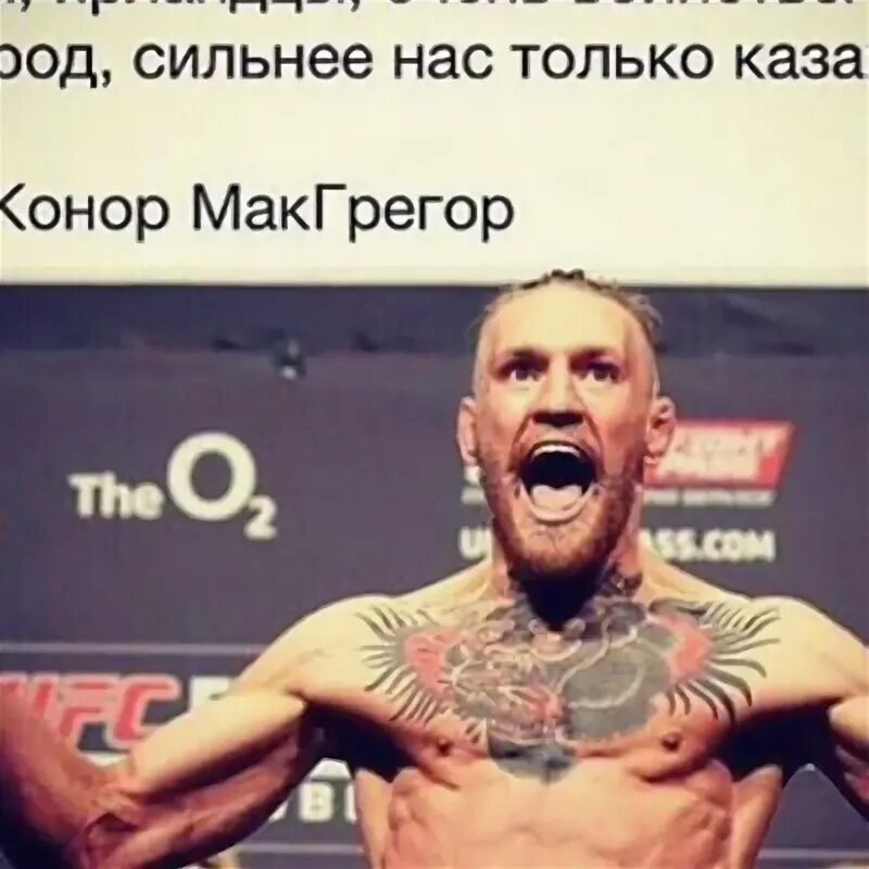 Цитаты макгрегора. Цитаты макгрегора