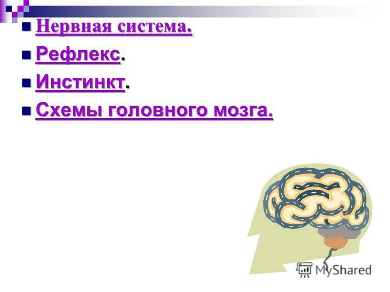 Биология 7 класс нервная система рефлекс инстинкт