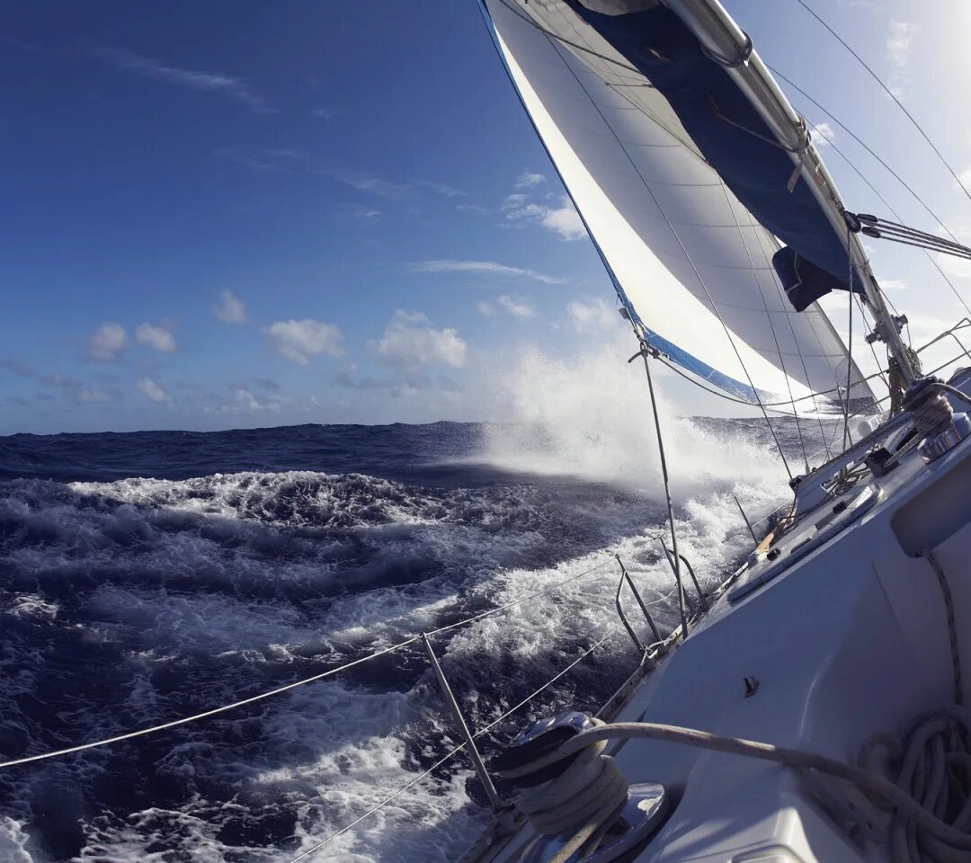 Lets sailing