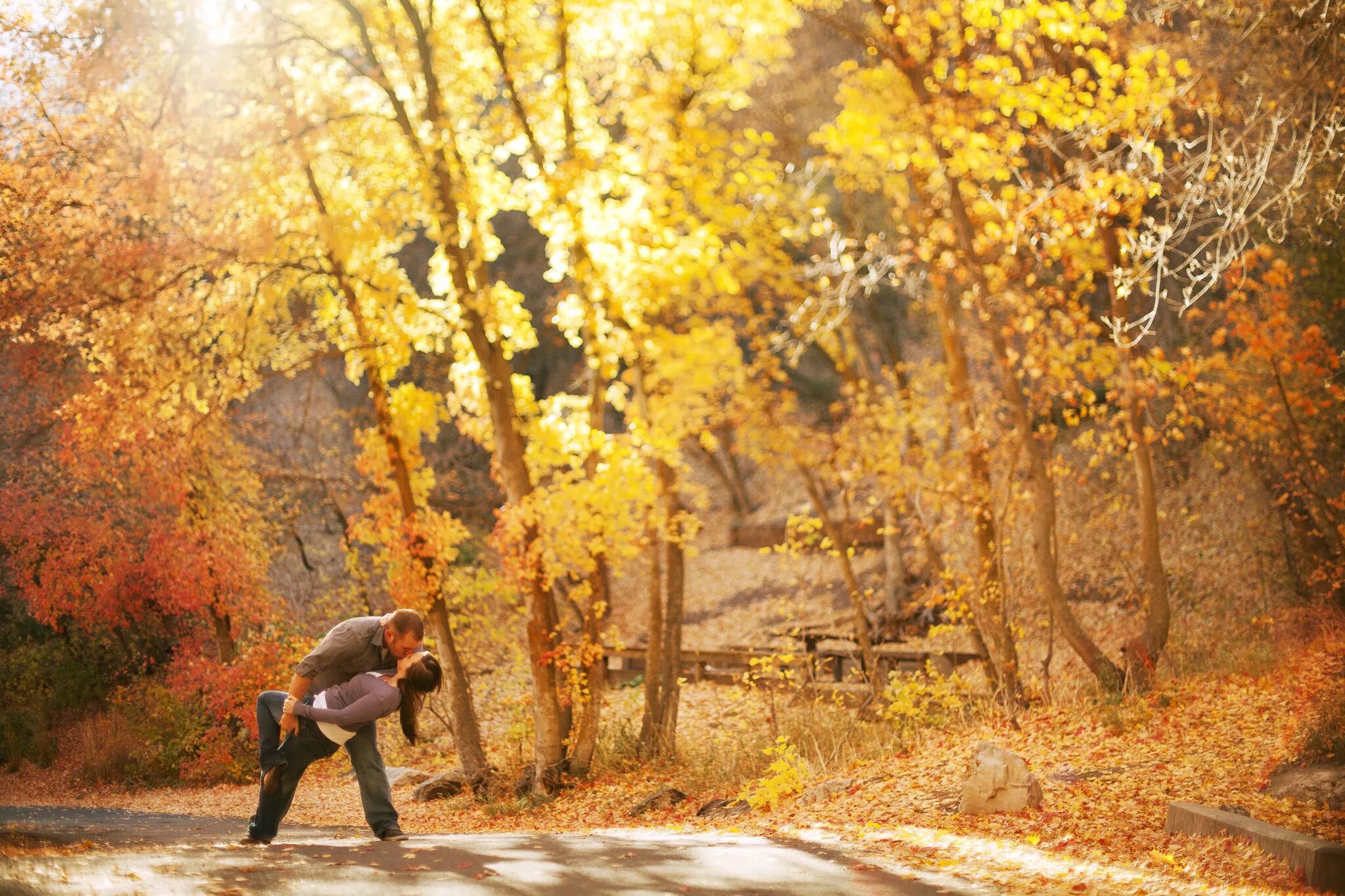 Осень мужского рода. Осенняя прогулка. Прогулка осенью. Прогулка в осеннем лесу. Прогулка по осеннему лесу.