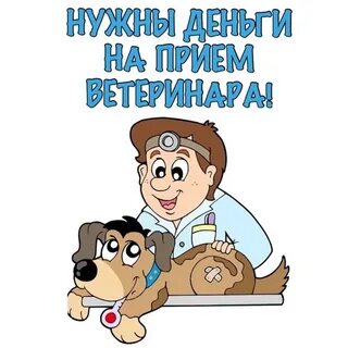 Ветеринар на английском